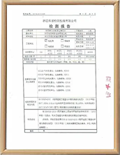 湖州甲醛治理检测报告样本